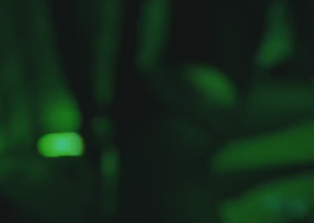 fuga